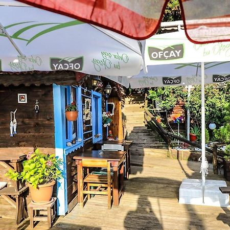 Ekoland Hotel Agva  Exterior photo