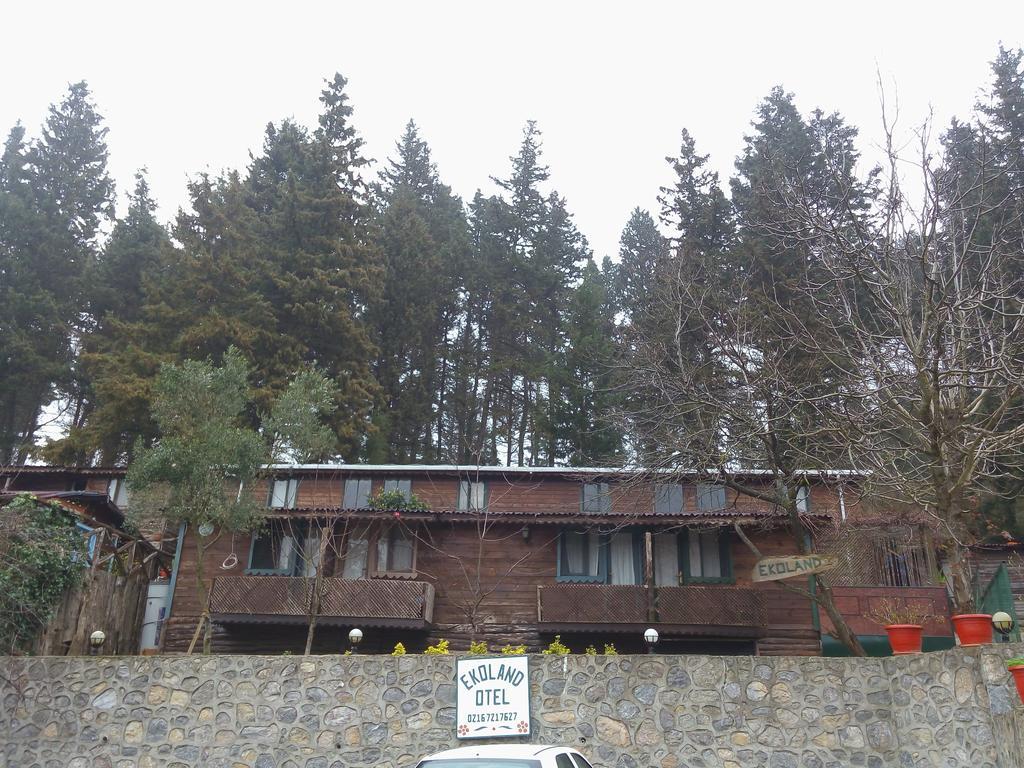 Ekoland Hotel Agva  Exterior photo