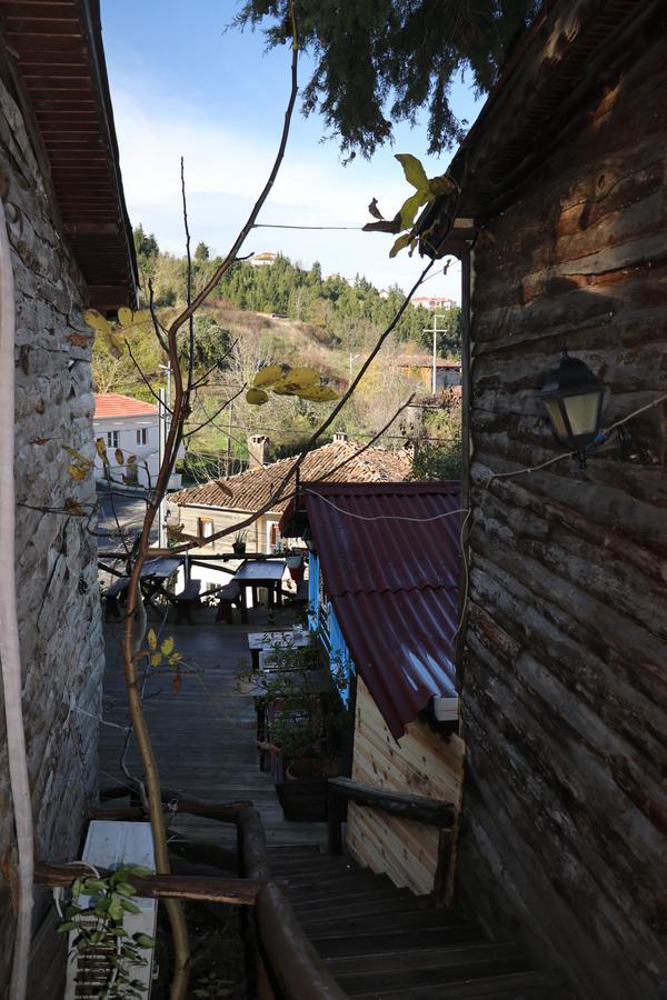 Ekoland Hotel Agva  Exterior photo
