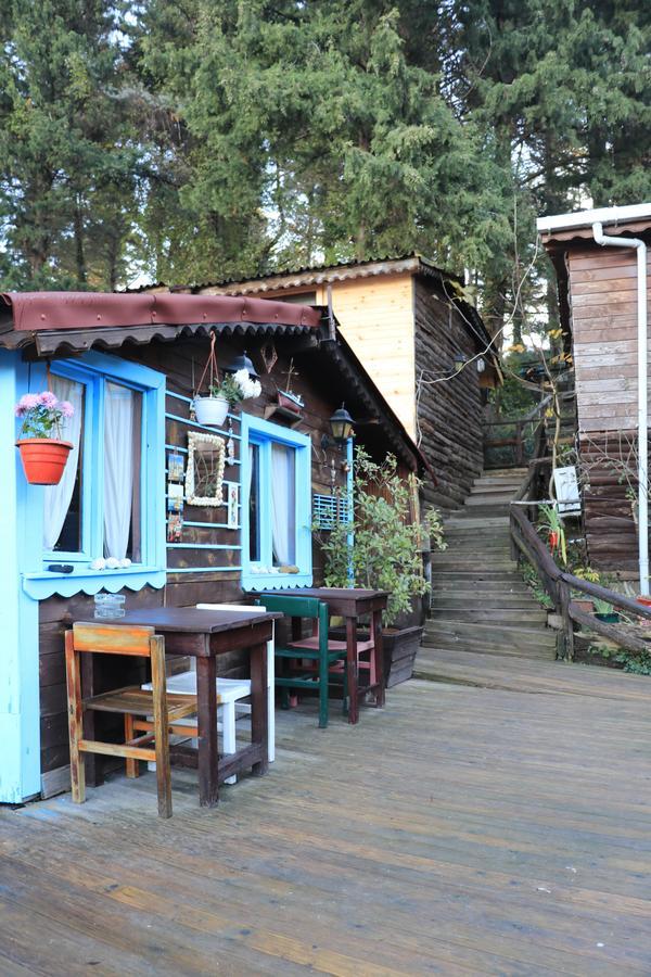 Ekoland Hotel Agva  Exterior photo