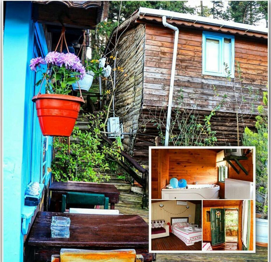 Ekoland Hotel Agva  Exterior photo