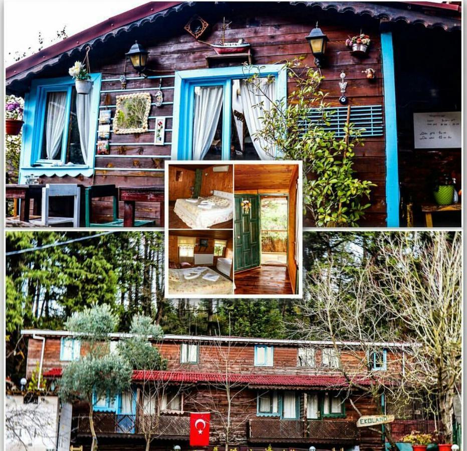 Ekoland Hotel Agva  Exterior photo