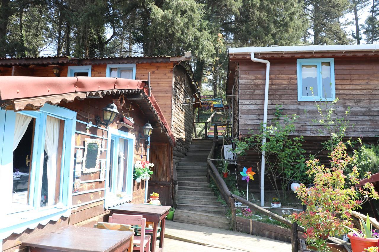 Ekoland Hotel Agva  Exterior photo
