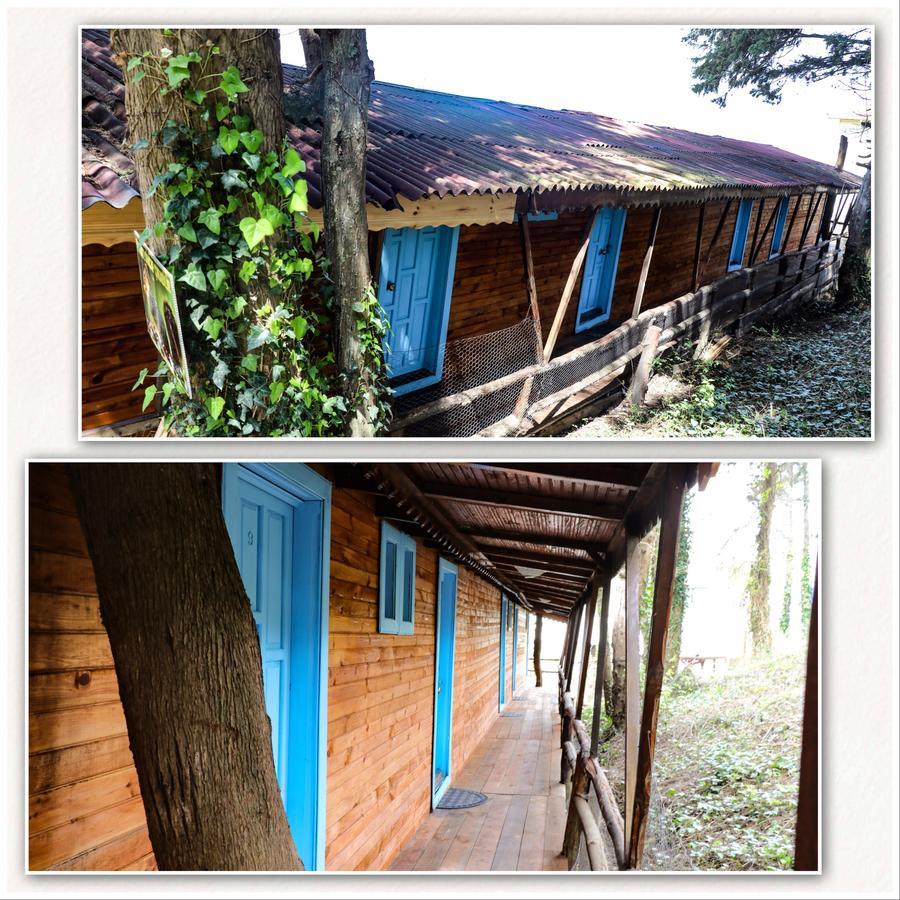 Ekoland Hotel Agva  Exterior photo
