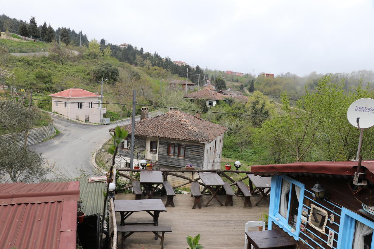 Ekoland Hotel Agva  Exterior photo